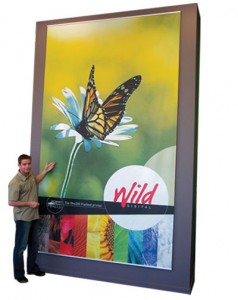 Yupo wall hanging
