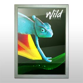 Lightbox print from Wild Digital