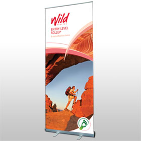 Entry-level Rollup banner from Wild Digital